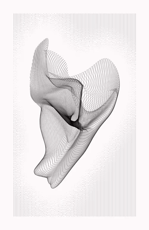 Item #12000062 Media