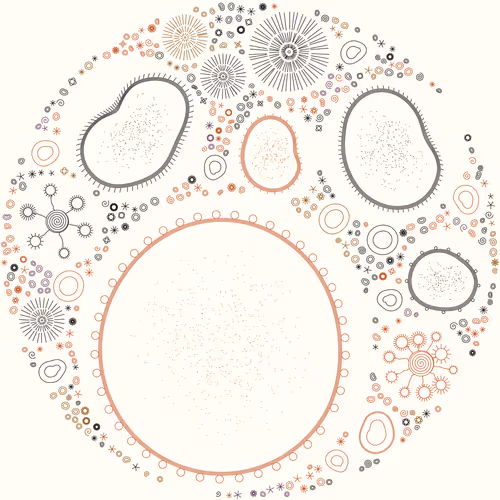 Item #11000033 Media