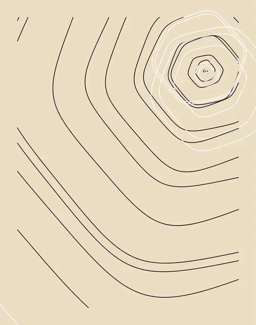 Item #18000012 Media