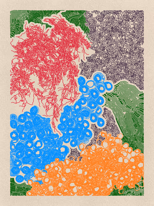 Item #19000080 Media