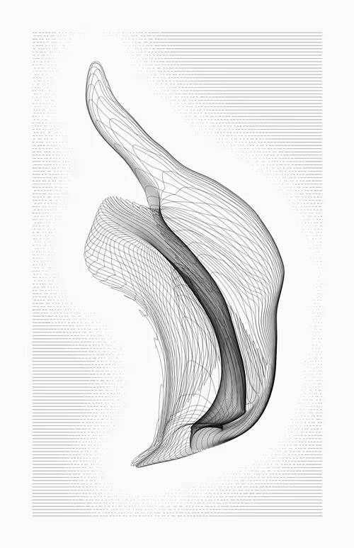 Item #12000108 Media