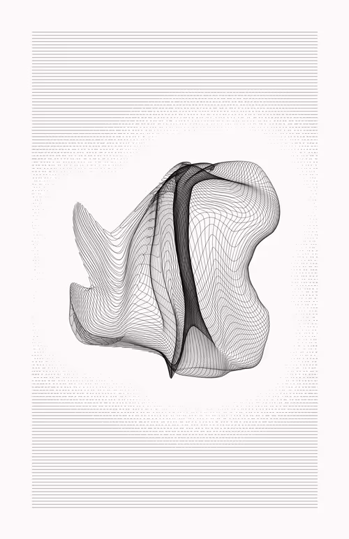 Item #12000116 Media