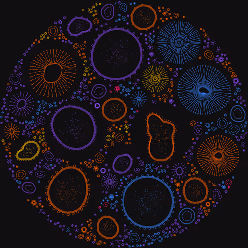 Item #11000006 Media