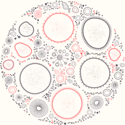 Item #11000027 Media