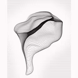 Pseudofigure #66