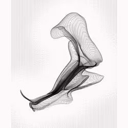 Pseudofigure #118