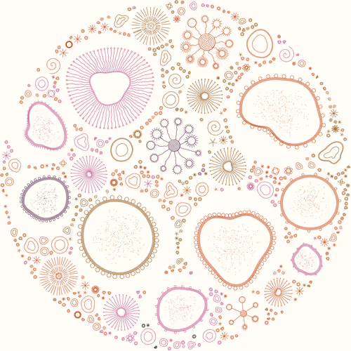 Item #11000002 Media