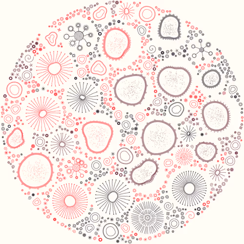 Item #11000024 Media