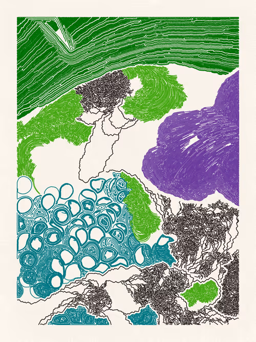 Item #19000013 Media