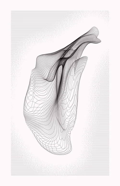 Item #12000102 Media