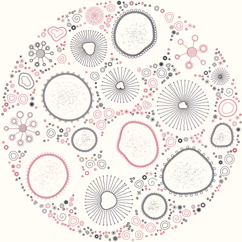 Item #11000003 Media