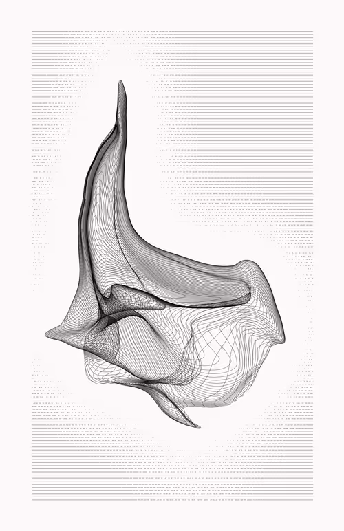 Item #12000063 Media