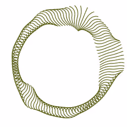 Diatom #55