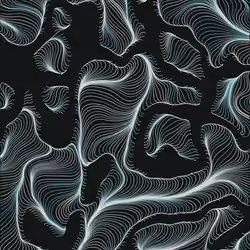 Streamlines #163