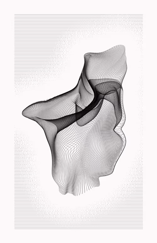 Item #12000078 Media