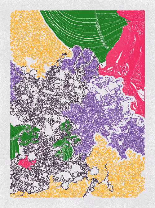 Item #19000067 Media