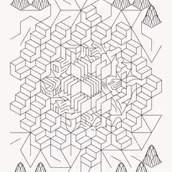 Structures #216