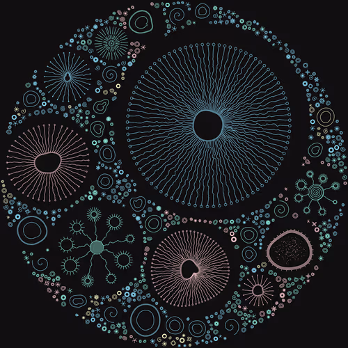 Item #11000026 Media