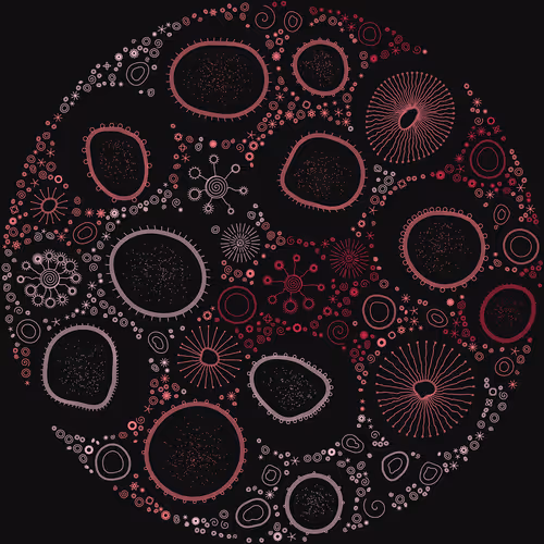 Item #11000010 Media