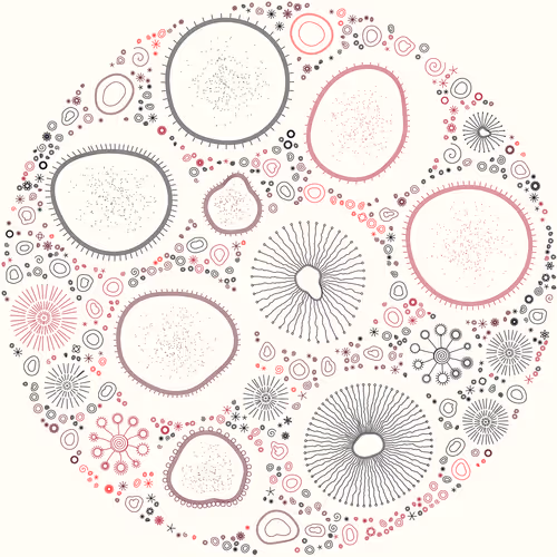 Item #11000009 Media