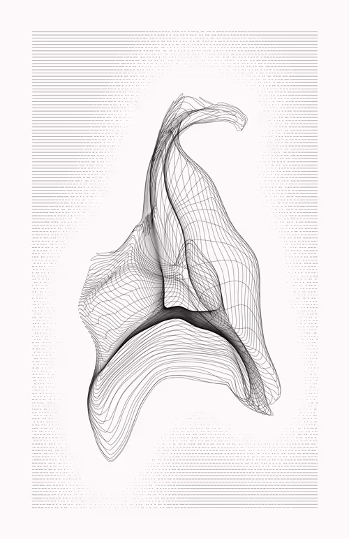 Item #12000075 Media