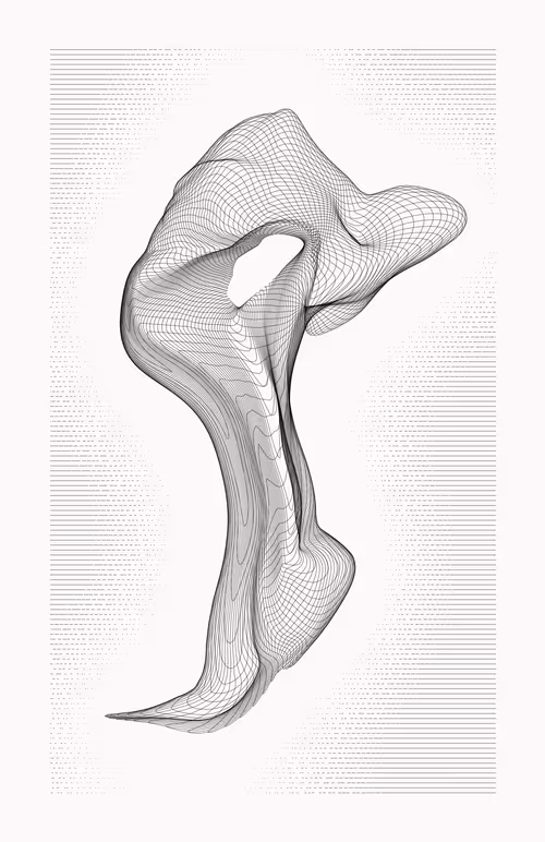 Item #12000034 Media