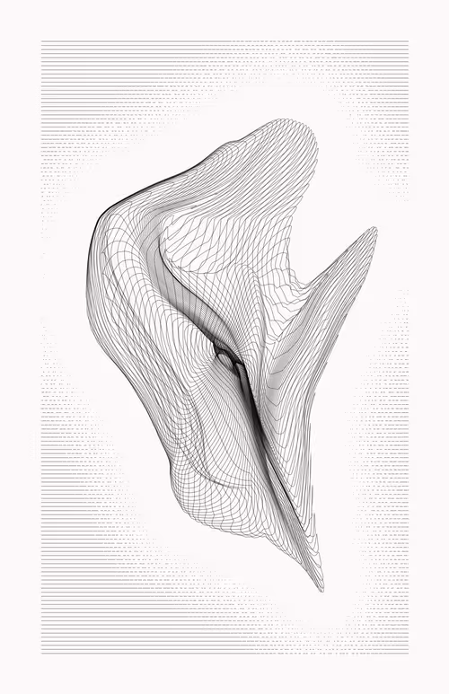 Item #12000099 Media