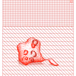 Really Random Rock #77