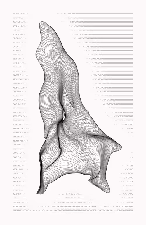 Item #12000110 Media