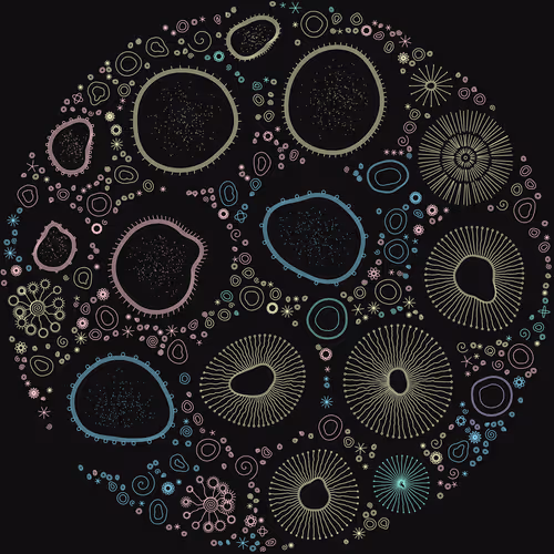 Item #11000005 Media