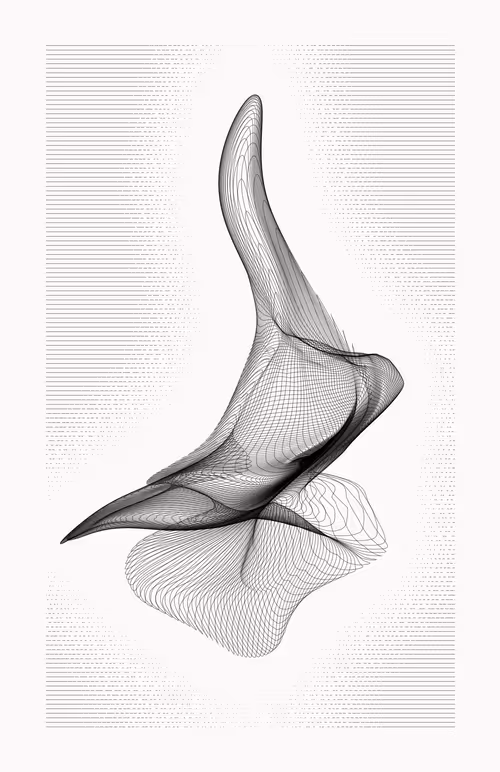 Item #12000032 Media