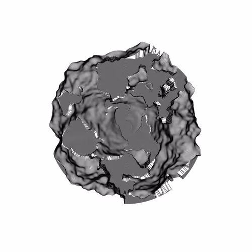 Item #1000035 Media