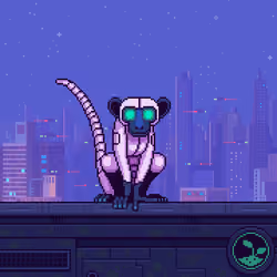 Animonkey #203