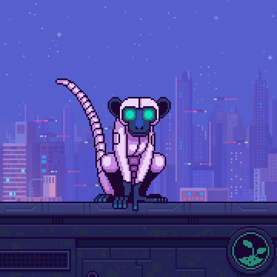 Animonkey #2462