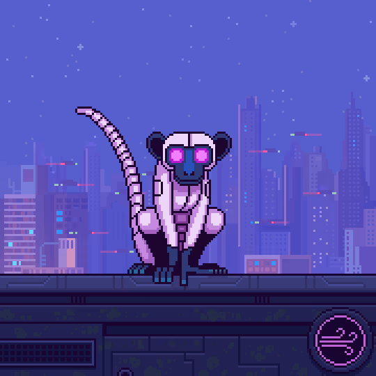 Animonkey #2451