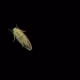 Unidentified contract 6066e993-8d25-4afe-be0e-257db983367b