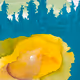 62