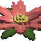 Lotus flower