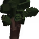 Forest tree