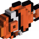 Clown Fish