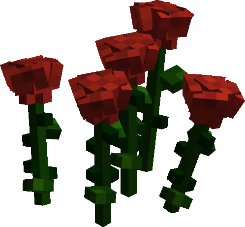 Red roses