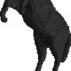 55464657044963196816950587289035428064568320970692304673817341489687782494208