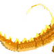 47620782996622570955496806502540577126880321998307468062148071347323567867904