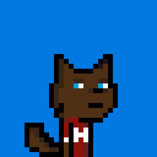 Crazy Animals 229221082