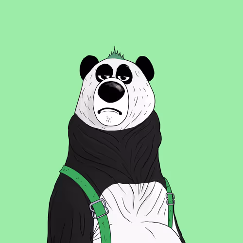 The Bear Bumsrare