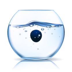 marimo #5058