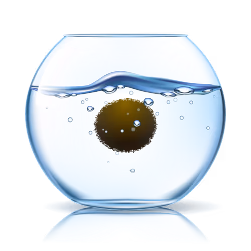 marimo #8