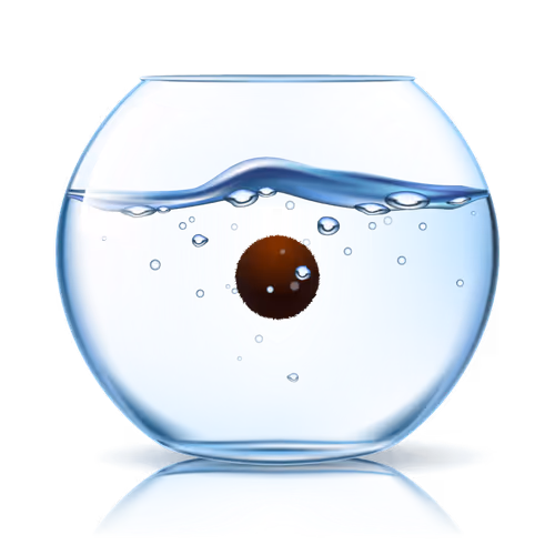 Marimo Life