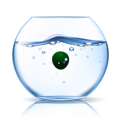 marimo #7443