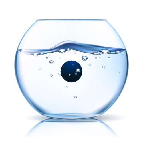 Marimo Life